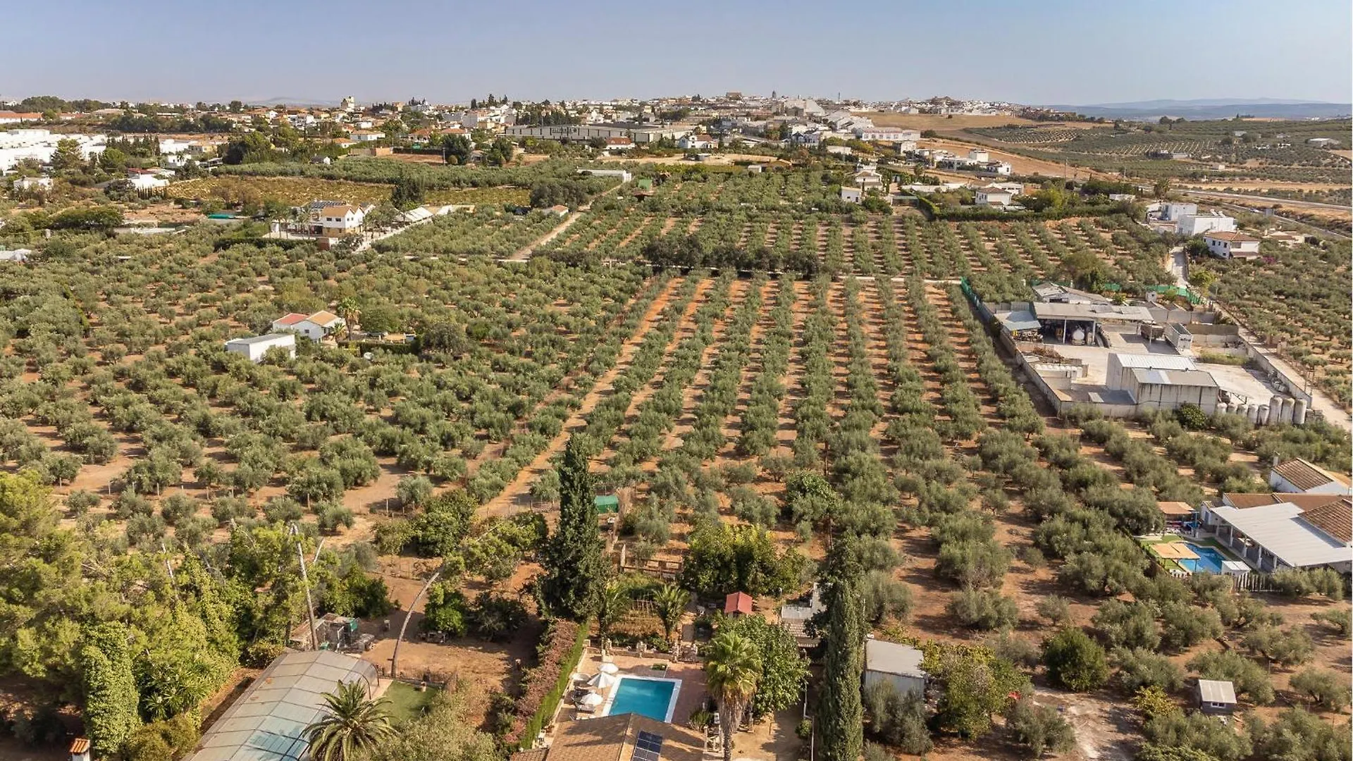 Holiday home Awesome Home In Montilla With Kitchen Spain